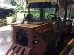-新加坡飞禽公园