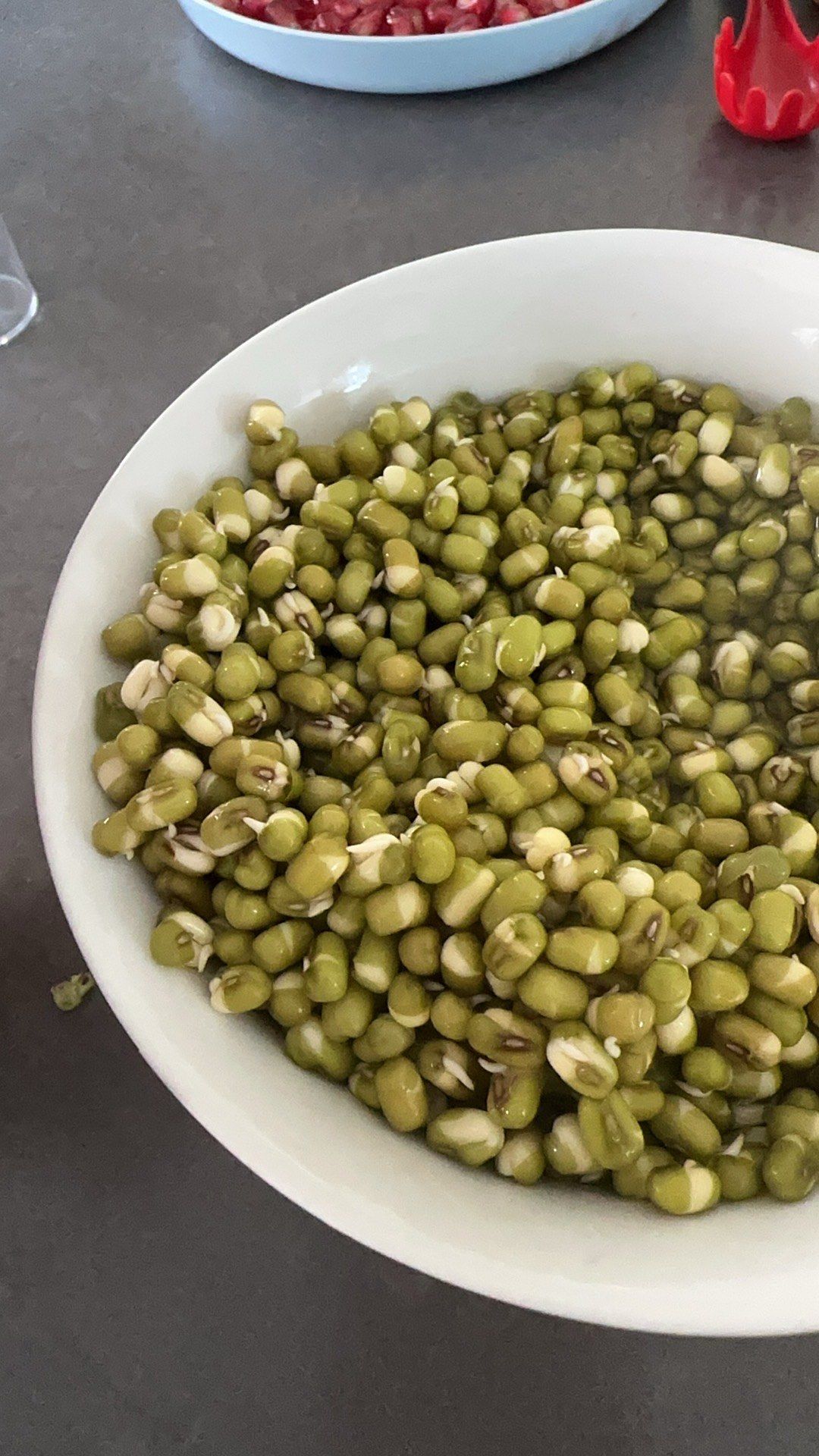 微微发芽的绿豆还能吃吗