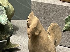 -广西壮族自治区博物馆