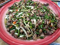 -东吴霸王兔(松青路店)