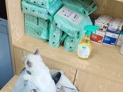 -中农大我爱我爱动物医院·核磁CT·猫病·24小时夜诊中心(石佛营店)