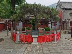 -泰山风景名胜区-普照寺