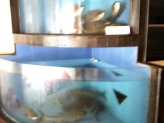 -岭南海晏楼(滨江东总店)