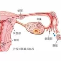-邢台妇产医院