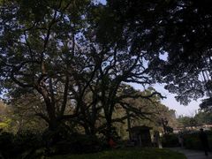 -西湖公园(鼓楼区)
