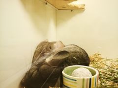 -龙猫仔乐园(惠福东路店)