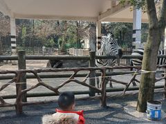 -贵州森林野生动物园