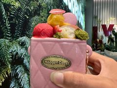 香榭假日外带冰淇淋杯-哈根达斯(南京德基广场店)