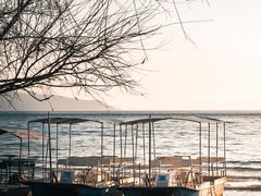 -月亮湾湿地公园