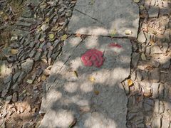 -西湖风景区十里琅珰-五云山