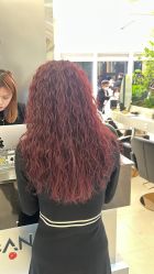 -GANO HAIR 