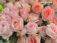 -ROIIN用心(武汉首店)