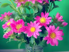 -杭州街角花屋花店(闻堰店)
