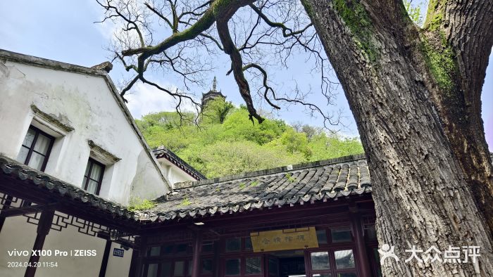 焦山风景区图片