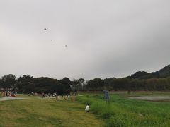 -风云岭森林公园