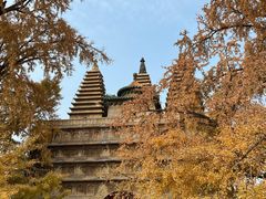 -北京石刻艺术博物馆(五塔寺)