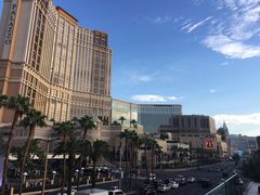 -拉斯维加斯永利酒店