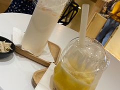 -滚猫咖啡·猫咖·猫友好撸猫(未来城店)