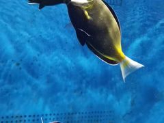 -合肥海洋世界
