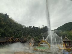 -西双版纳原始森林公园