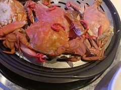 -半岛听涛蒸汽海鲜自助(K11店)