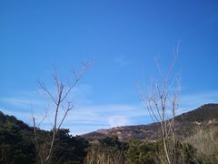 -北京西山国家森林公园