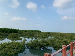 -北海金海湾红树林生态旅游区