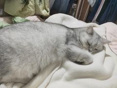 -佳雯宠物医院·皮肤科·内外科(春晓路分院)