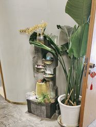 -卡尔诗·科技美肤连锁