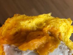 -奈雪的茶(石家庄万象城店)