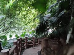 -百林公园-两江幸福广场