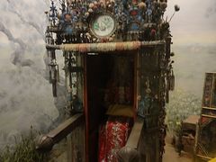 -美国自然历史博物馆