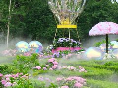 -共青国家森林公园-售票处