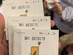 -宣科纳西古乐·非遗体验空间(大水车店)