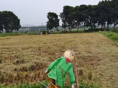 -光明小镇欢乐田园