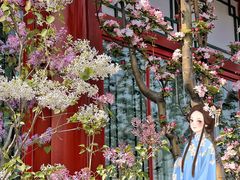 -百花深处胡同