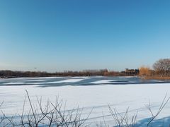-东郊湿地公园