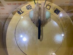 -上海昆虫博物馆