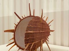 -青岛贝壳博物馆