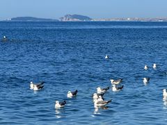 -银沙滩浴场