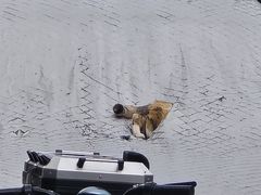 -Again Coffee Roaster(香蜜湖店)