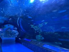 -海合安成都极地海洋公园