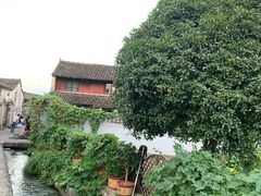 -前童古镇