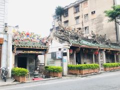 -老妈宫粽球