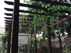 -美家乐农庄·露营·团建(大治路店)