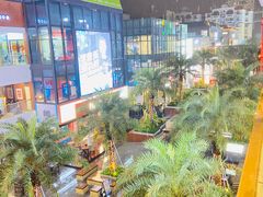 -禧鳳記·猪肚鸡火锅(玖洲道店)