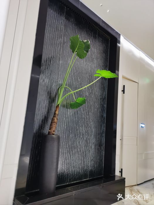 奥斯芬·欧系贵族SPA(益田假日广场店)图片