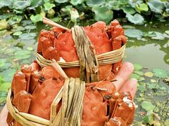 -七的湖·晚芳亭·阳澄湖农家菜·大闸蟹(莲花岛店)