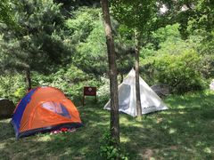 -秦岭终南山世界地质公园翠华山景区