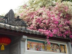 -深圳国际园林花卉博览园